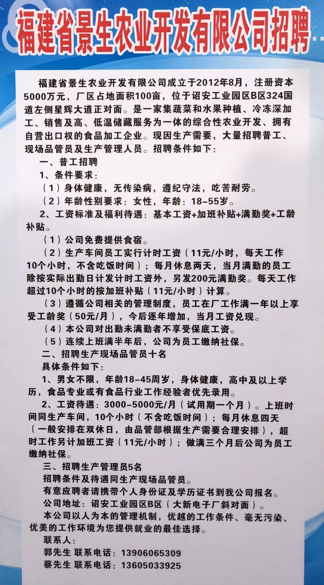 詔安縣最新招聘信息概覽