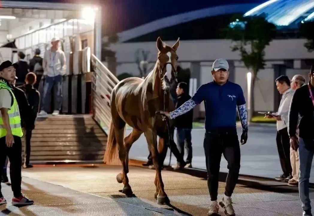 WW777766香港馬會(huì)總綱詩(shī)，探索賽馬運(yùn)動(dòng)的魅力與詩(shī)意