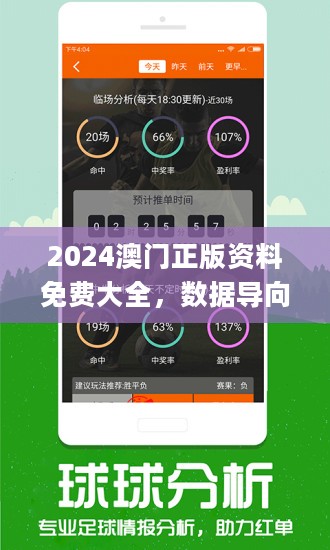 新奧彩2024年免費(fèi)資料查詢，探索未來的彩票世界