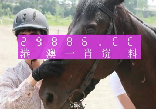 澳門最準(zhǔn)一肖一碼一碼，揭示背后的真相與警示