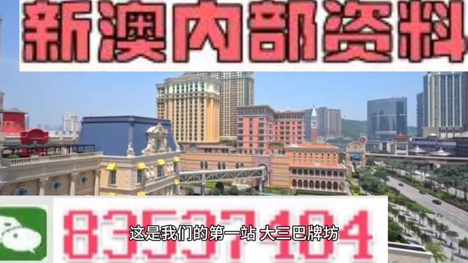 新澳門(mén)資料大全正版資料2024年免費(fèi)下載，全面解析與前瞻性探討