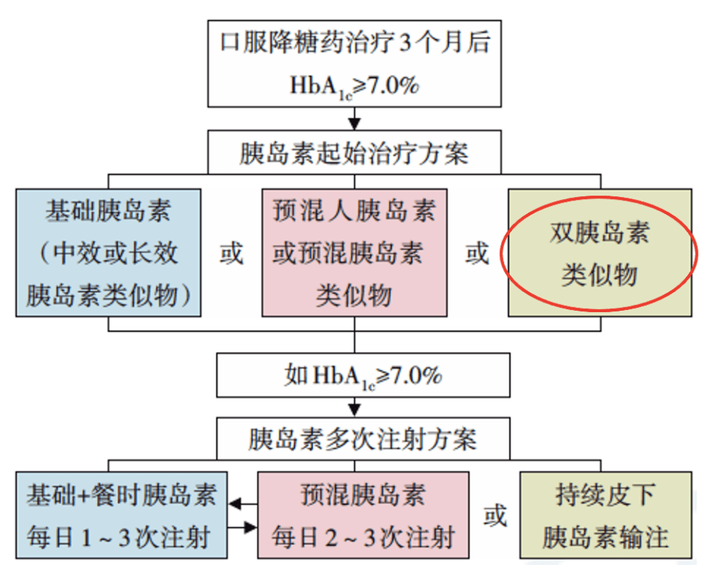 新澳門(mén)資料大全正版資料，探索與解讀