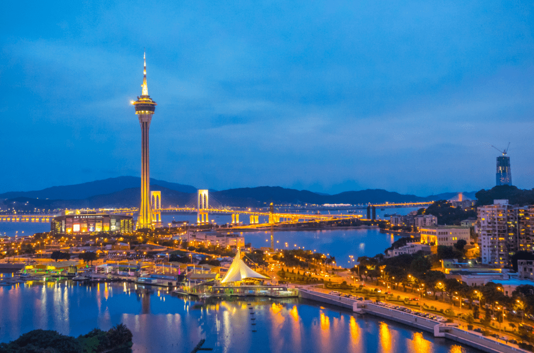 澳門100%最準(zhǔn)一肖，探尋背后的秘密與真相