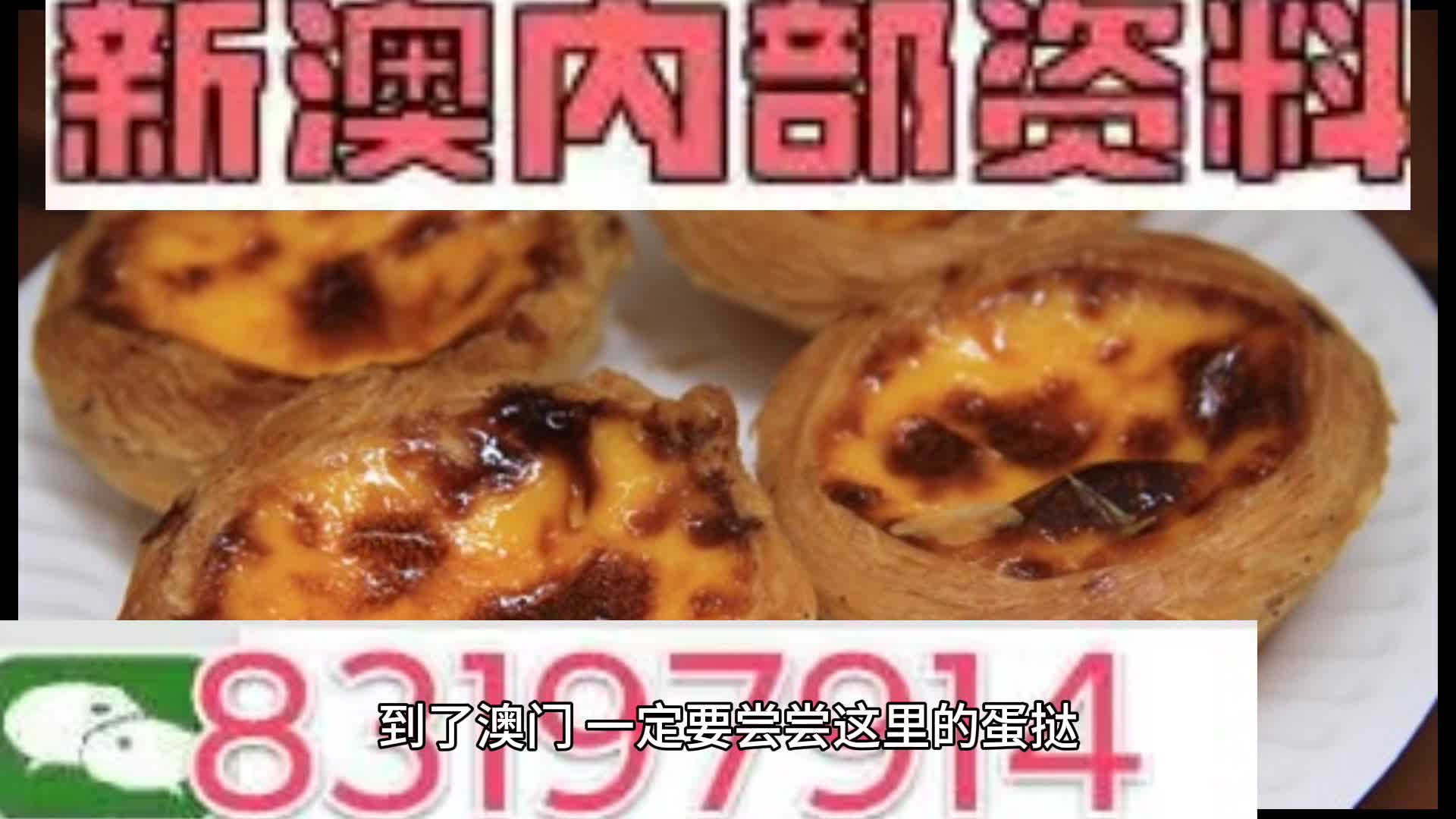 新奧2024年免費(fèi)資料大全概覽