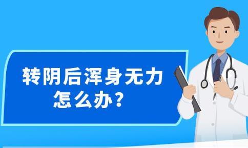 新澳精準資料免費提供網，探索與啟示