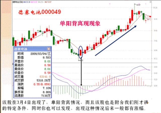 揭秘精準(zhǔn)一肖，神奇的預(yù)測(cè)之旅，百分之百免費(fèi)