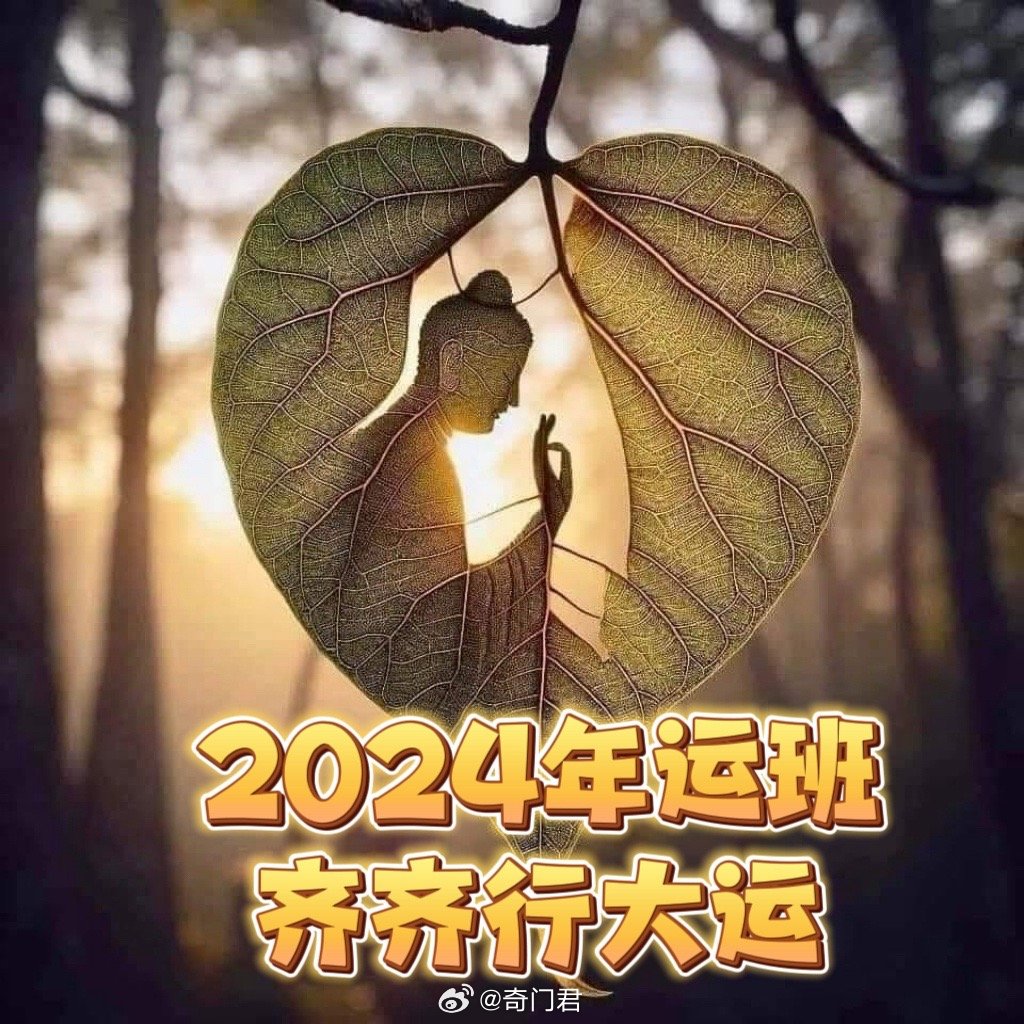 探索未來(lái)幸運(yùn)之門(mén)，2024年一肖一碼一中一特的神秘面紗