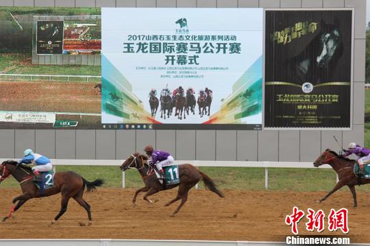 今晚香港開特馬，探索賽馬運動的魅力與未來展望