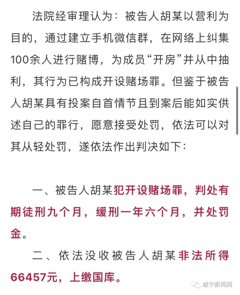 一肖一碼免費，公開與犯罪邊緣的探討